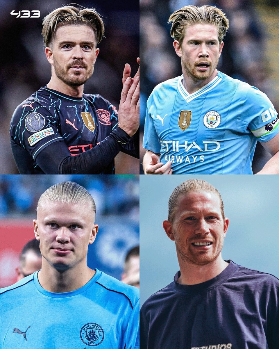 球迷和专家 球迷和专家