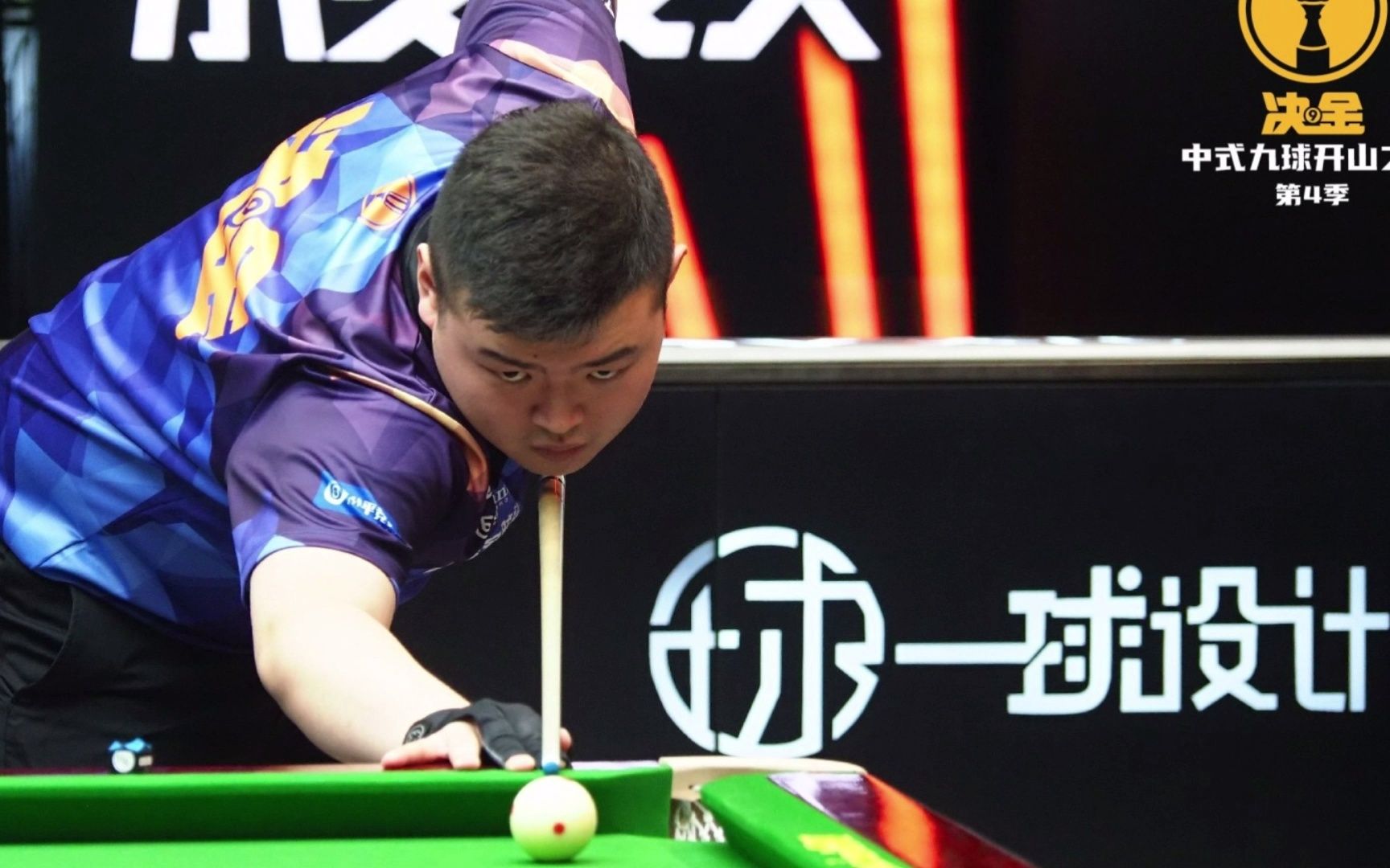 仅令他个人 仅令他个人