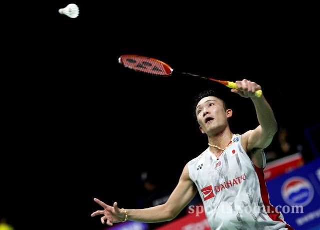 手的反扑 手的反扑