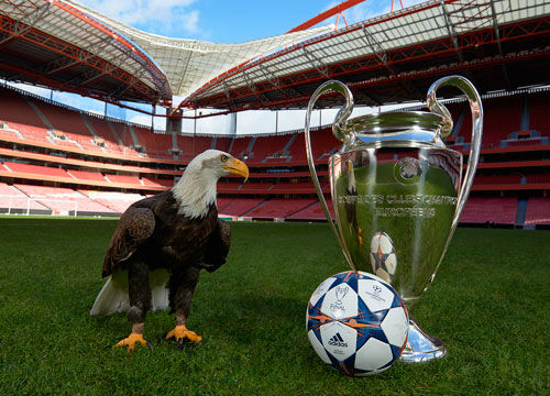 无尽梦回 无尽梦回